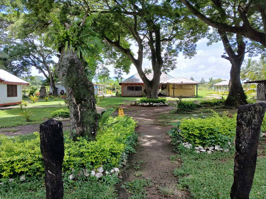 Fiji: Tifajek Mud Pool & Hotspring Tours & Tickets - What to bring and what to expect on site