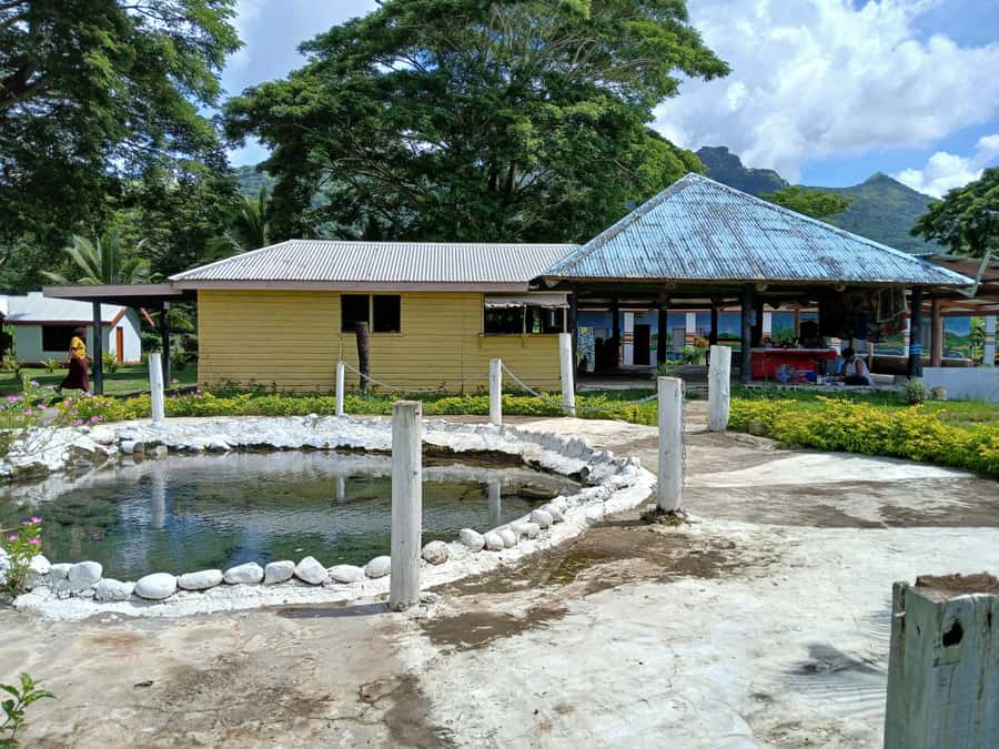 Fiji: Tifajek Mud Pool & Hotspring Tours & Tickets - Hot springs with two different temperatures