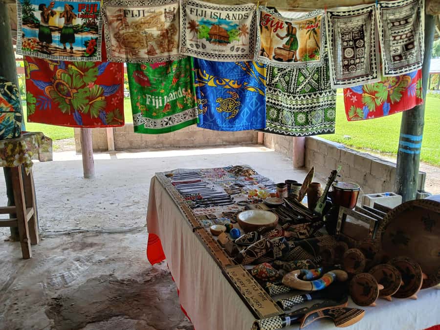 Fiji: Tifajek Mud Pool & Hotspring Tours & Tickets - Who should book this experience?