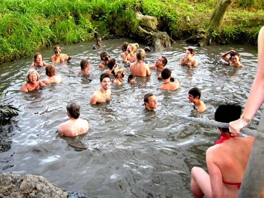 Fiji: Tifajek Mud Pool & Hotspring Tours & Tickets - The 30-minute drive from Nadi or Lautoka