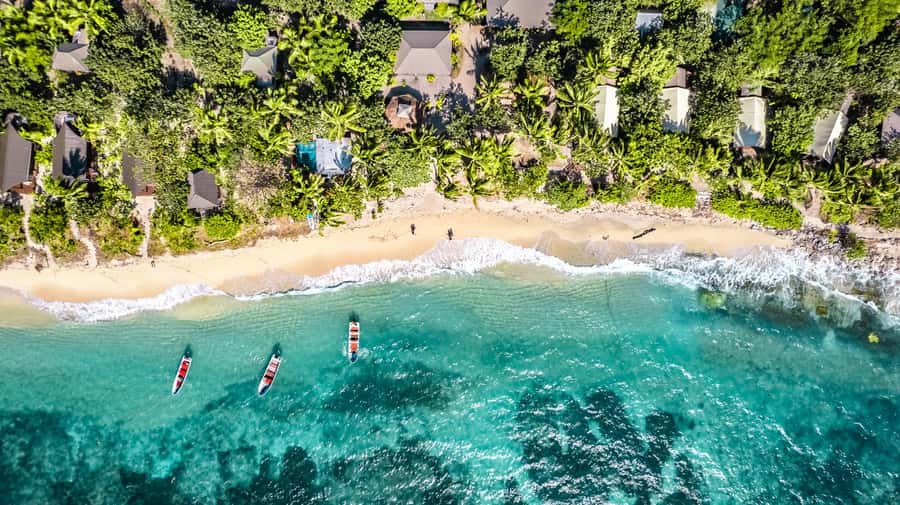 Fiji: Ultimate Encounters Snorkel with Sharks and Lunch - Key points to know before you book