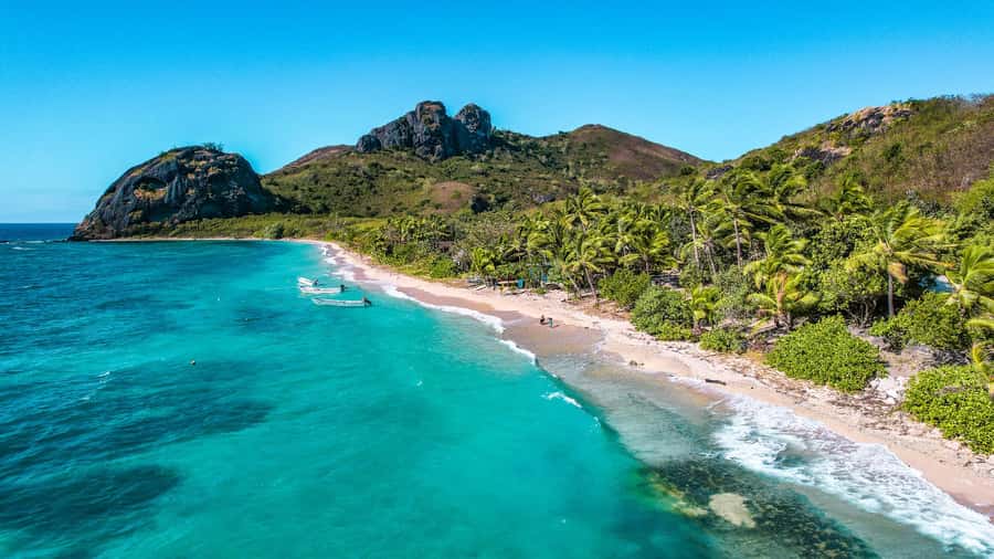Fiji: Ultimate Encounters Snorkel with Sharks and Lunch - Tips for getting more from the day