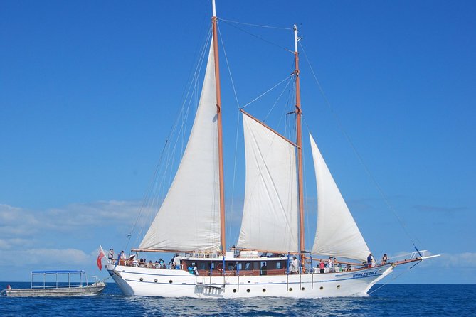 Fijian Islands and Snorkel Full-Day Whales Tale Cruise including Beach BBQ Lunch - Sailing out from Nadi on the Whale’s Tale