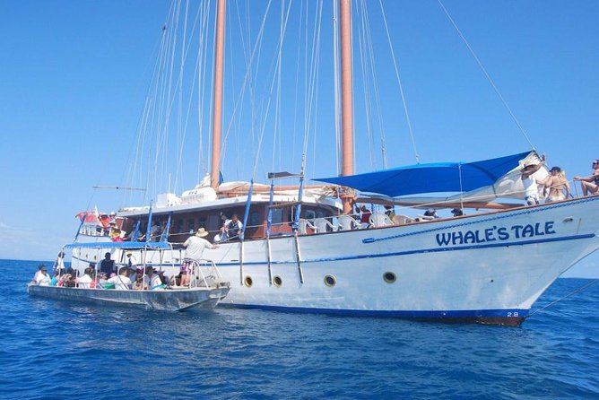 Fijian Islands and Snorkel Full-Day Whales Tale Cruise including Beach BBQ Lunch - Arriving at the uninhabited island