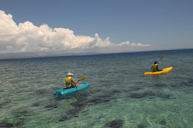 Fijian Islands and Snorkel Full-Day Whales Tale Cruise including Beach BBQ Lunch - Boat condition, comfort, and practical tradeoffs