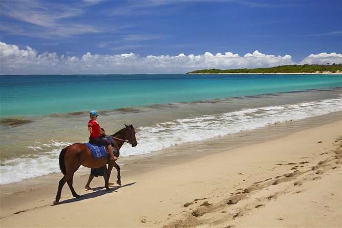 Fijian pottery crafting Village Experience & Natadola Beach Tour - Natadola Beach, with choices instead of pressure