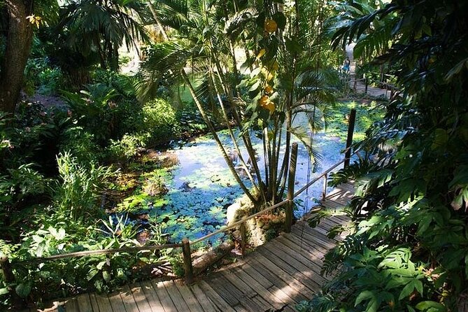 Full Day Discover Nadi Tour ( From Sigatoka Coral coast Hotels ) - Viseisei, ancestral stories, and village life