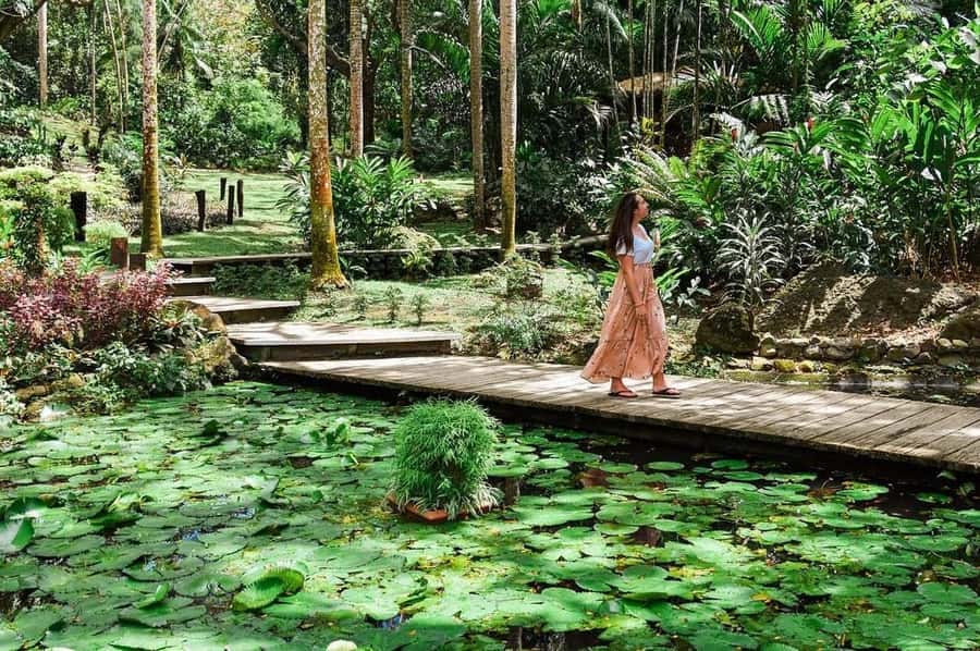 Garden of Sleeping Giant with Tifajek Mudpool Hotspring Tour - Key points to know before you book
