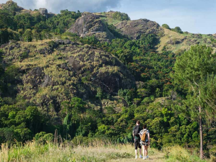Garden of Sleeping Giant with Tifajek Mudpool Hotspring Tour - Optional massage and what to expect from the spa setting