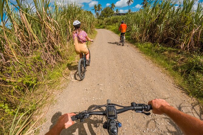 Guided E-bike Tour - Sugarcane fields, mango trees, and village life