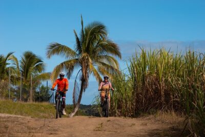 Guided E-bike Tour