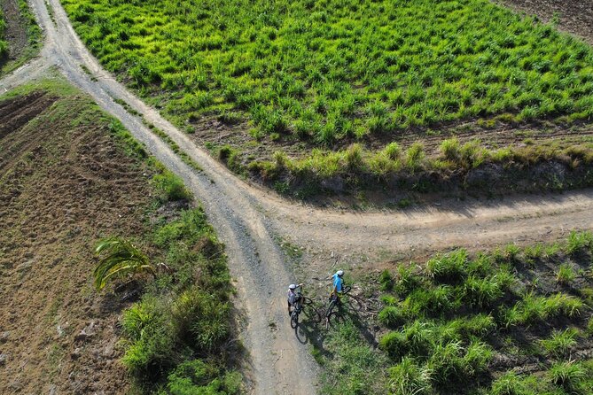 Guided E-bike Tour - Group size, timing, and practical details