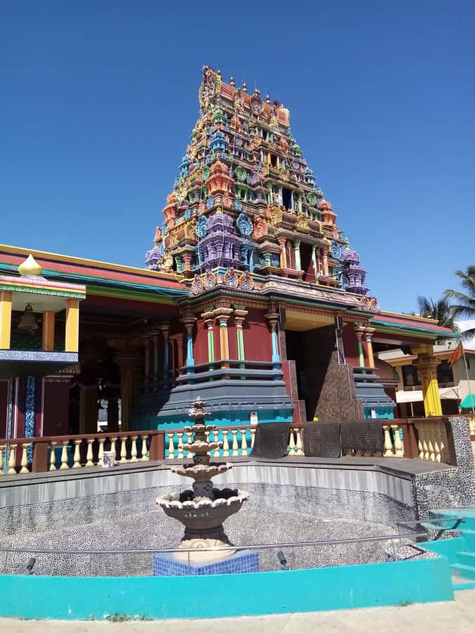 Guided Lautoka Shore Excursions - Sri Siva Subramaniya Swami Temple in Nadi