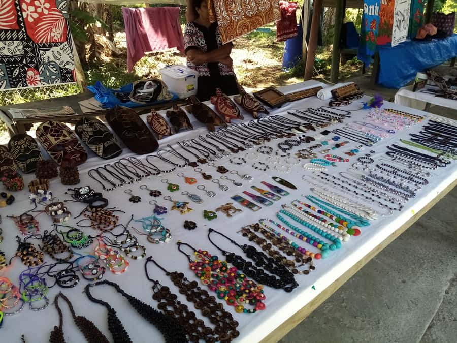 Guided Lautoka Shore Excursions - Meeting instructions and timing tips