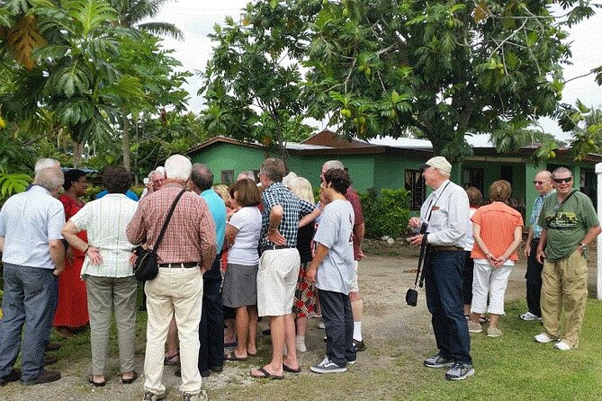 Half Day Mudpools, Veseisei Fijian Village, Gardens of Sleeping Giants &Shopping - Veseisei Village and Fiji’s Early Story