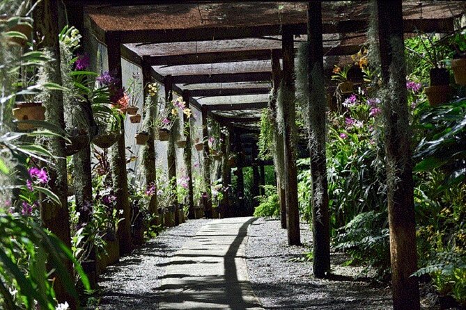 Half Day Mudpools, Veseisei Fijian Village, Gardens of Sleeping Giants &Shopping - Sabeto Mud Pools: Fiji’s Most Playful Stop