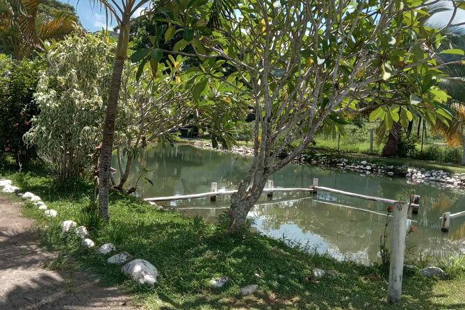 Half Day Nadi Tour Temple, Market, Gardens and Mud Pools - What is included, and where extra costs appear