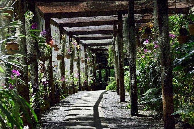 Half Day Sightseeing - Wonders of Nadi Tour - A half-day route that shows several sides of Nadi