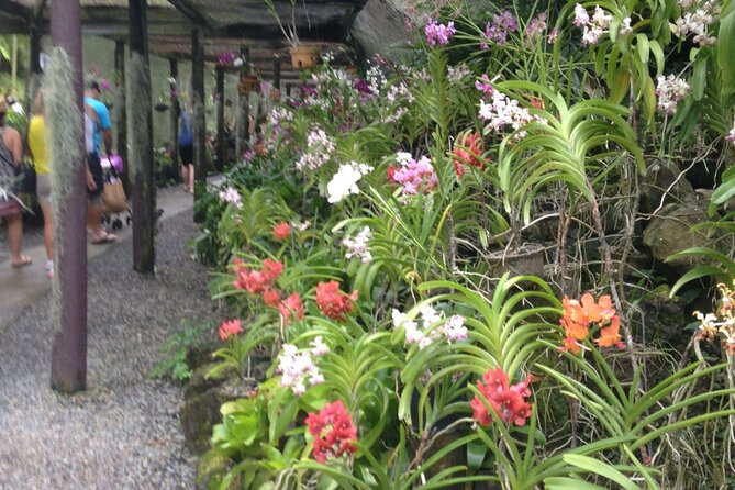 Half Day Sightseeing - Wonders of Nadi Tour - Does $77.61 offer good value?