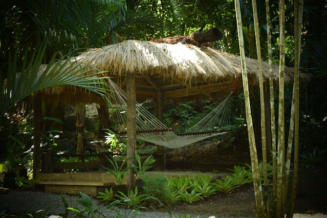 Half Day Sightseeing - Wonders of Nadi Tour - Timing, clothing, and other practical details