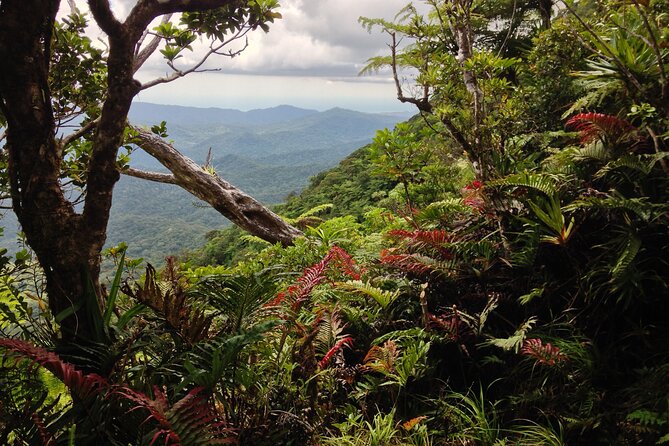 Hiking Adventure including Fiji's Highest Mountain and 3 Nights - Day 1: The road to Navai