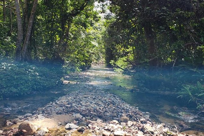 iconic waterfall tour - Who will enjoy this outing most