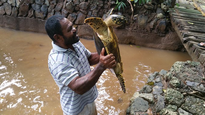 Kiara Package tour - What the two-hour island visit is like