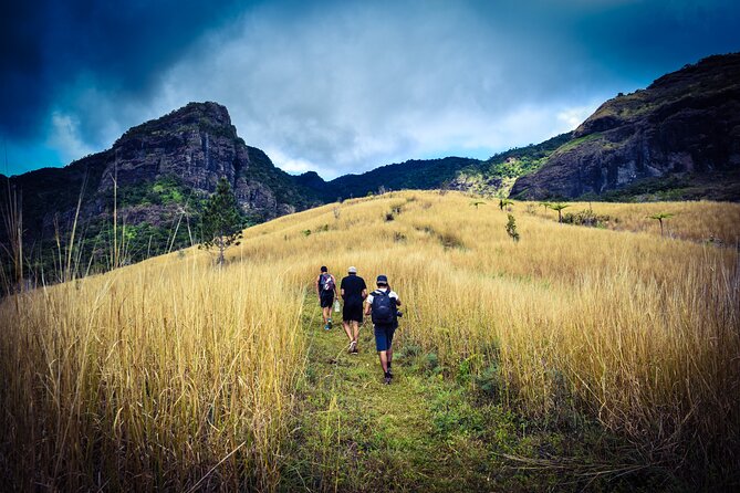 Koroyanitu National Heritage Park Fiji - Hike - Waterfall - Raymond, Salva, and the value of a local guide