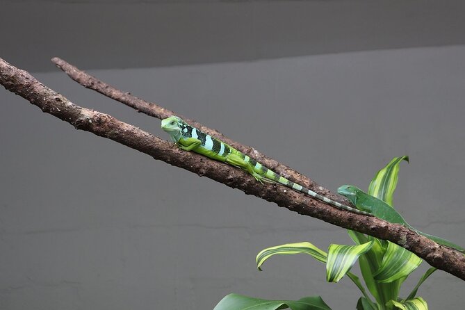 Kula Eco Park Admission - Food, restrooms, and the practical side of the visit