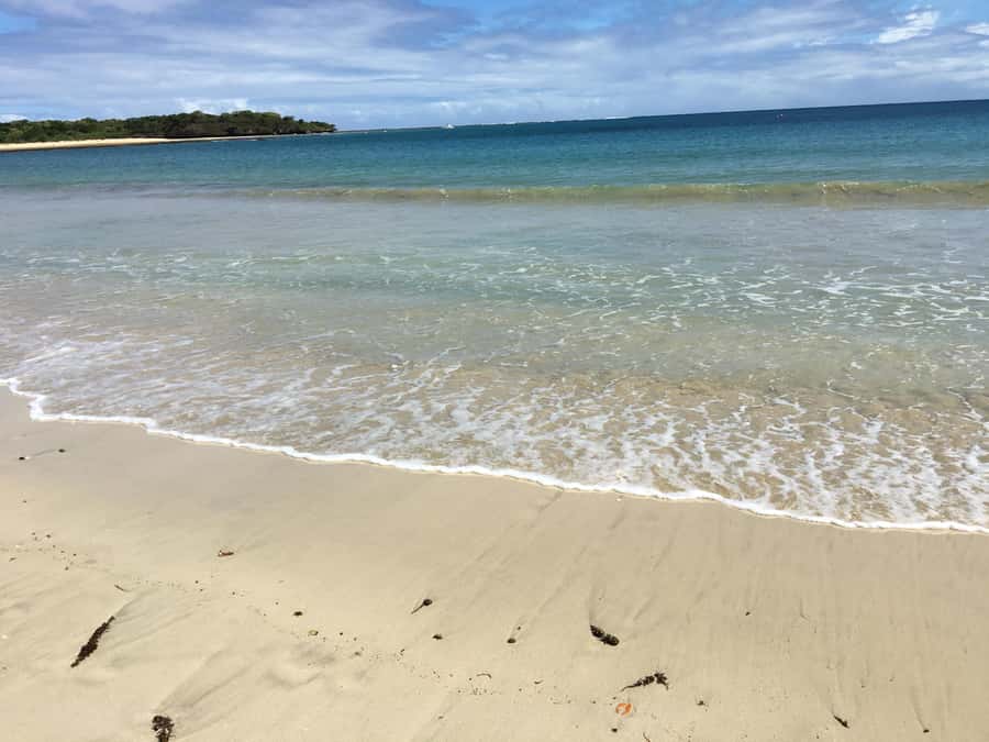 Lautoka Cruise Ship to Natadola Beach Round Trip - Leaving Lautoka Port and Finding Your Driver
