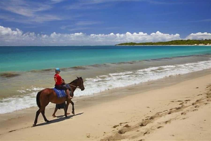 Lawai Pottery Village & Natadola Beach Kava Ceremony & Meke - Should you book the Lawai and Natadola day?