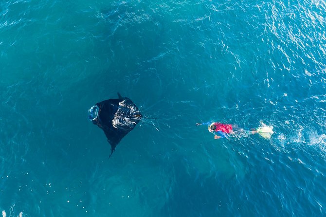 Manta Ray Experience - Leaving Port Denarau at 8:45 am