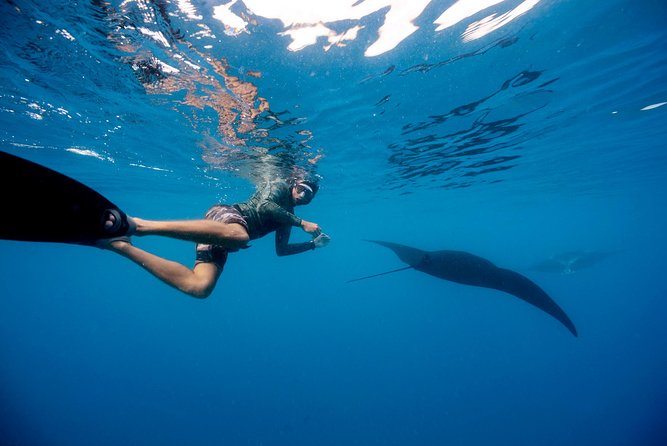 Manta Ray Experience - Who should book this Fiji day trip?