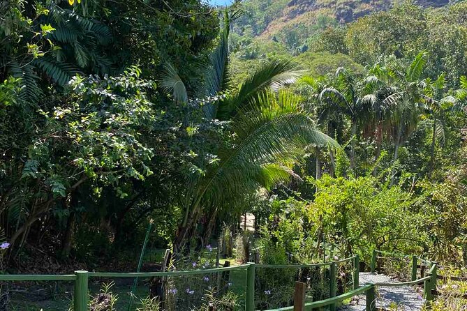 Nadi Fiji Historical Half Day Tour - Garden of the Sleeping Giant: Orchids and Quiet Walking