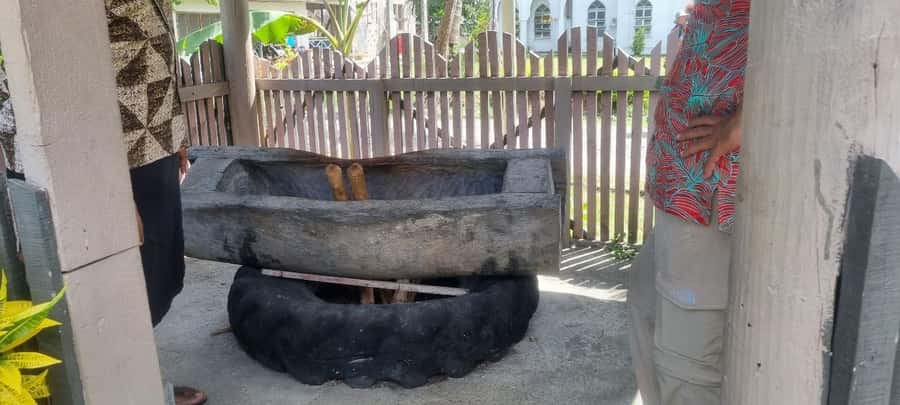 Nadi: Garden Village Hot Spring & Temple Highlights Tour - Who should book this Nadi day trip?