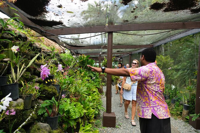 Nadi Heritage Tour - Viseisei village and the story of Fiji’s first settlers