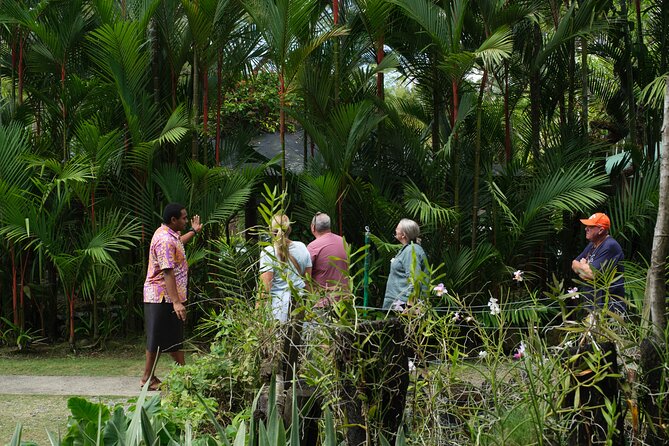 Nadi Heritage Tour - The possible TifaJek Mud Pools issue