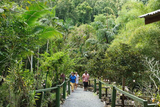 Nadi Heritage Tour - What the guide can add to the day