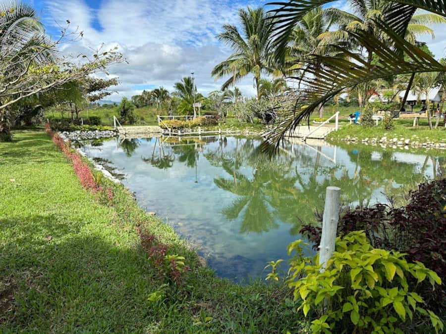 Nadi: Mud Pool and Hot Spring Private Tour - Why Sabeto Mud Pool Makes a Good Short Fiji Outing