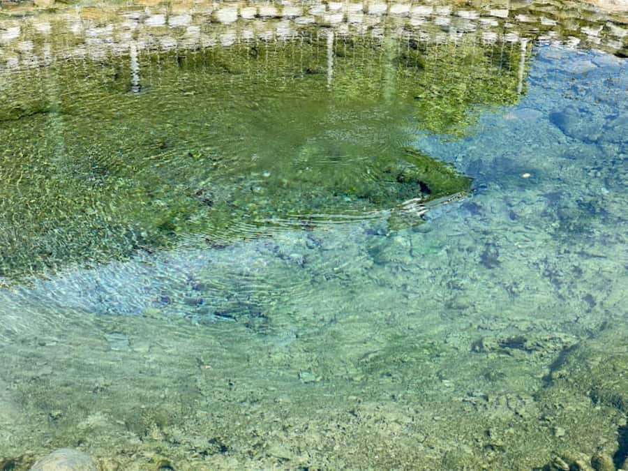 Nadi: Mud Pool and Hot Spring Private Tour - Who Will Enjoy This Experience Most