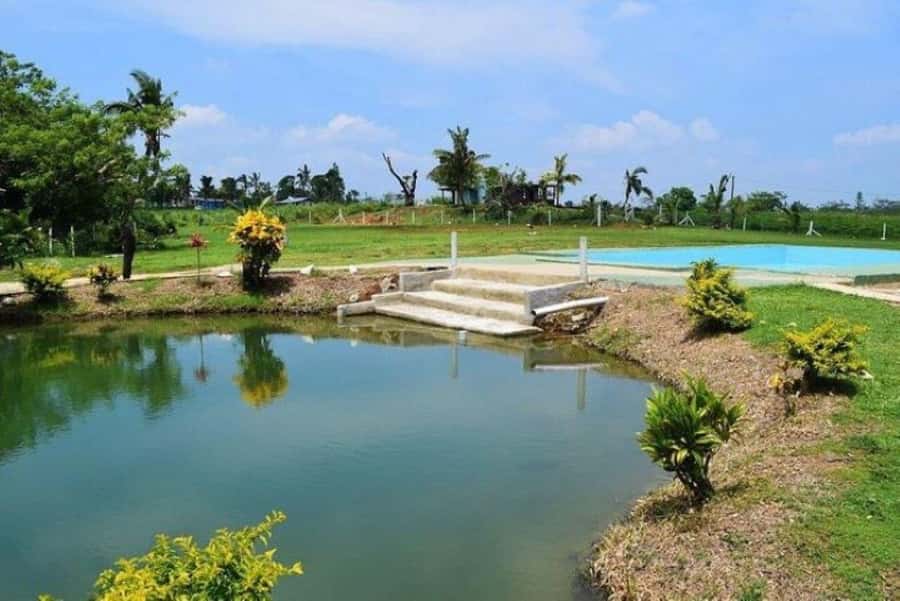 Nadi: Mud Pool and Hot Spring Private Tour - Timing, Transfers, and Practical Details