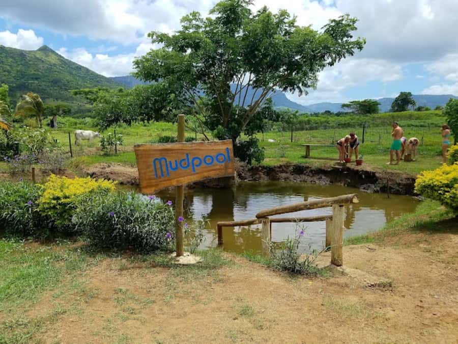 Nadi: Mud Pool and Hot Spring Private Tour - Should You Book the Sabeto Mud Pool Tour?