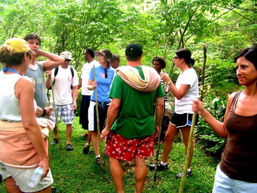 NADI: Nalesutale Village Half Day Tour - Key points to know before booking