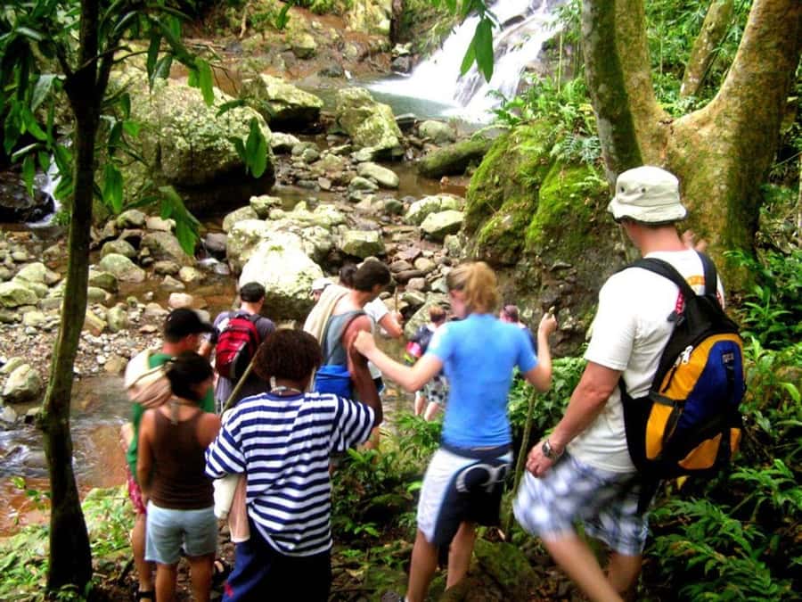 NADI: Nalesutale Village Half Day Tour - A village visit with a rainforest payoff