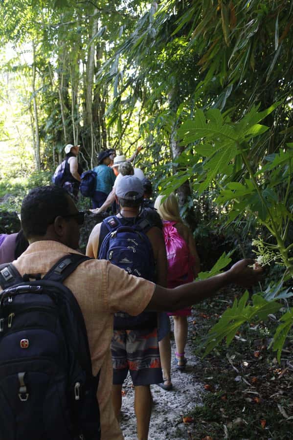 NADI: Nalesutale Village Half Day Tour - Who should book this Nalesutale outing?