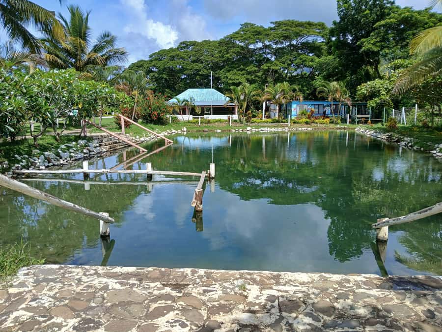 NADI-SABETO: Tifajek Hot Spring and Mudpool Natural Spa - Key points to know before you go