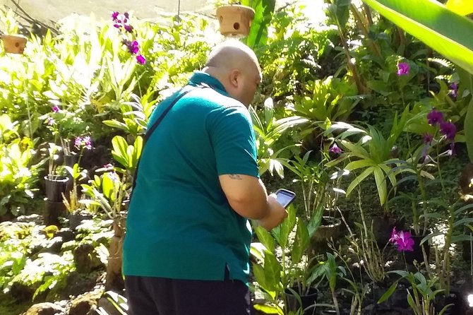 Nadi Sightseeing Including Viseisei Lookout, Village Tour, Garden & Temple Tour - Transport, timing, and what the price really covers