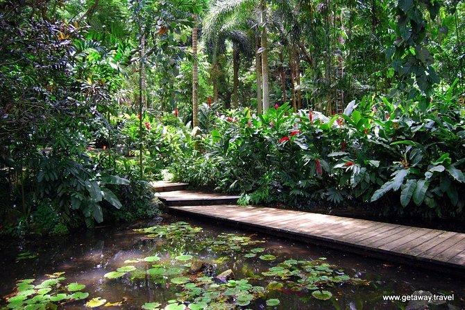 Nadi Sightseeing & Mud Pool Tour - Ex Fiji Marriott, Momi Bay - The souvenir shop and Namaka fruit market
