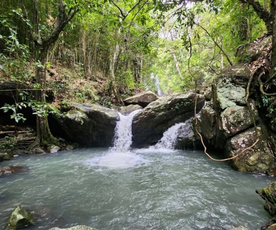 Nadi: Waterfall Tour Adventure with Refreshments and Lunch - Five things to know before you book