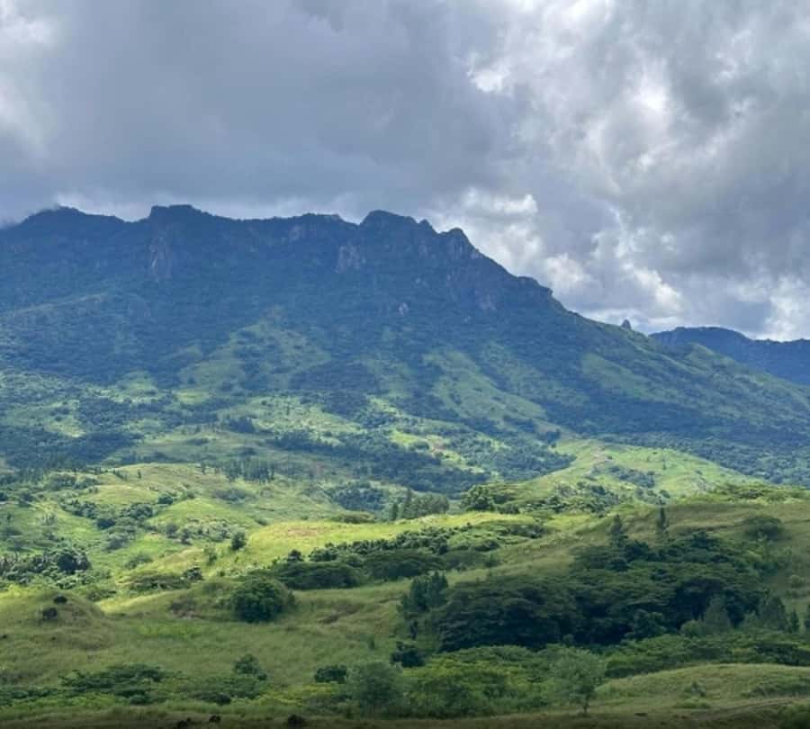 Nadi: Waterfall Tour Adventure with Refreshments and Lunch - Why this Nadi waterfall trip feels different